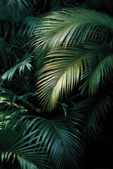 Lush Palm Fronds in Tropical Ambiance, Captivating Greenery and Exotic Botanical Beauty, Perfect for Backgrounds