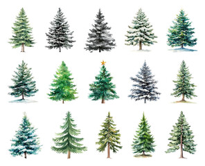 Obraz premium Diverse watercolor evergreen tree illustrations.