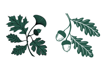 Vintage Botanical Leaf Set Featuring Oak, Maple, and Ginkgo Design
