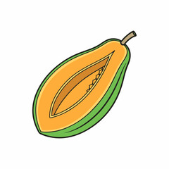 papaya fruit illustration with orange pulp and green skin