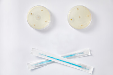 Microbiology Laboratory. Petri Dishes with Various Bacteria Samples