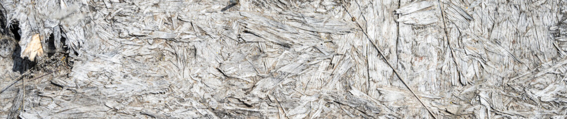 Nature breaking down old sheet of plywood breaking down, rough wood patten and texture background
