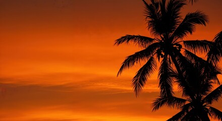 Obraz premium Tropical Sunset Silhouette: The fiery hues of a tropical sunset cast a warm glow over a palm tree silhouette. It is a stunning visual, ideal for any project needing a serene feel.