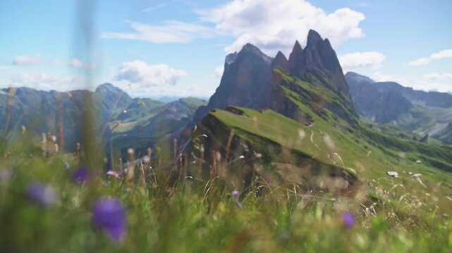 Beautiful Seceda peak in the Dolomites with colorful alpine flowers and clear blue sky Scenic view of Seceda mountain peak in the Dolomites with vibrant foreground wildflowers under bright summer sky