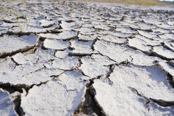 The dry and cracked soil cracked open