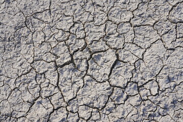 The dry and cracked soil cracked open