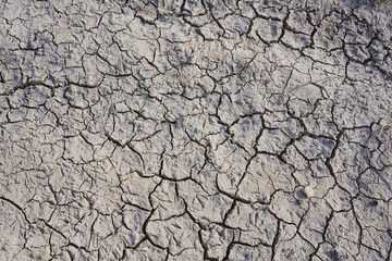 The dry and cracked soil cracked open