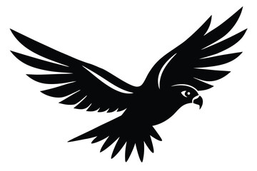 Obraz premium flying hawk silhouette vector illustration on black colour and white background