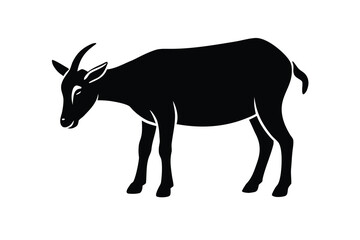 grazing goat silhouette vector illustration on black colour and white background