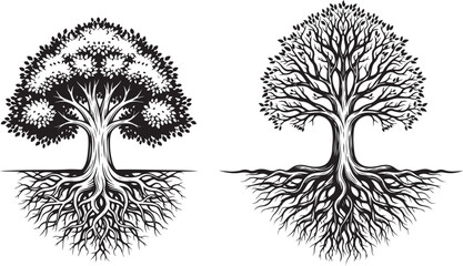 Graphic Black and White Tree Illustrations with Detailed Roots and Canopies