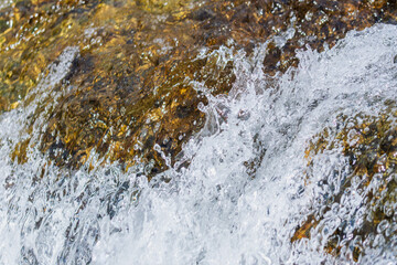 秋の川　清流の流れのアップ39