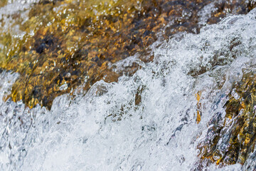 秋の川　清流の流れのアップ40