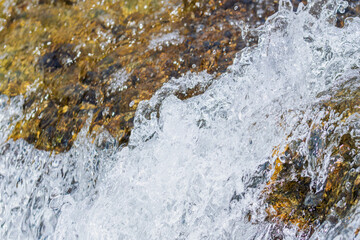 秋の川　清流の流れのアップ41