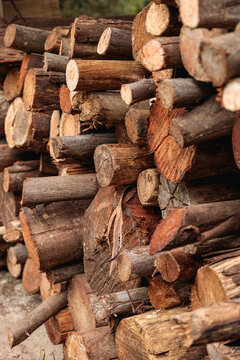 Fire Wood