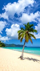 Fototapeta premium Tropical beach scene with palm tree (5)