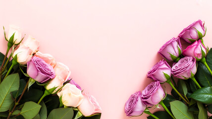 Flat lay roses, pink-purple corner composition, solid light background