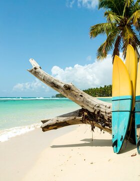 Tropical beach scene with surfboards
