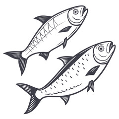 Two stylized fish swimming in tandem with detailed fins and scales in a classic monochrome illustration style