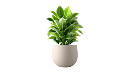 3D Render of Fresh Green House Plant in Modern Decorative Pot for Home Interior and Office Decor on White Background