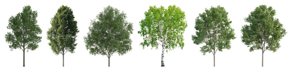 Diverse trees isolated collection