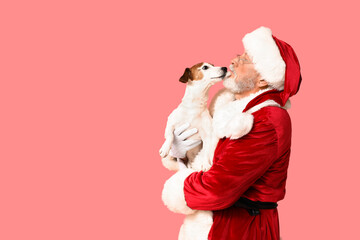 Santa Claus with cute Jack Russell Terrier dog on pink background