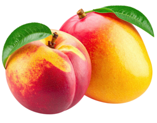 A ripe nectarine and mango sit together, leaves attached, vibrant colors