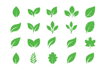 Set of green leaf icons. Leaves of trees and plants. Leaves icon. Collection green leaf. Elements design for natural, eco, bio, vegan labels. Vector illustration.