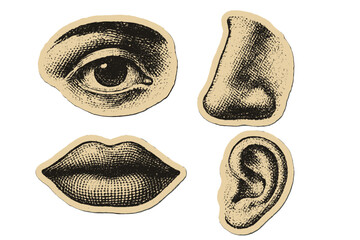 Retro halftone collage elements for mixed media design. Vintage grunge paper stickers with eye, lips, nose, ear. Engraved vector anatomy parts for surreal scrapbooking.