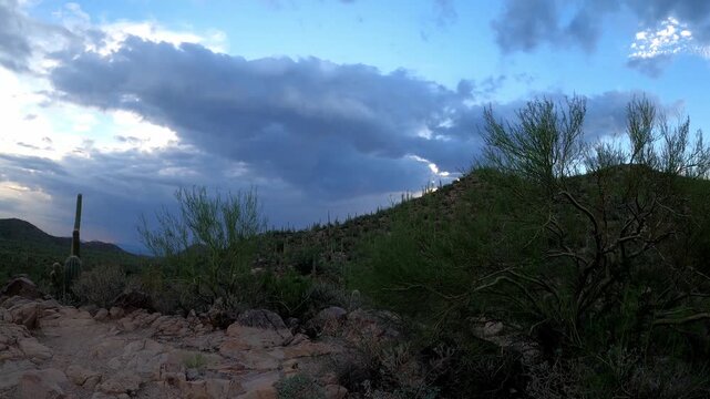 Arizona 1024 Saguaro National Park Tucson Cactus Desert