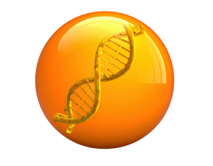 Golden DNA helix in a shiny, orange sphere, isolated on black