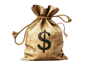 A burlap sack tied shut with rope, sporting a large dollar sign, on black