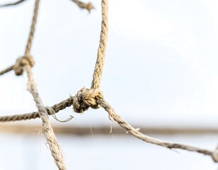 Close-up of knotted ropes