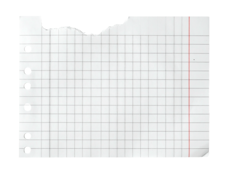 A torn piece of gridded paper with hole punches and a vertical red line