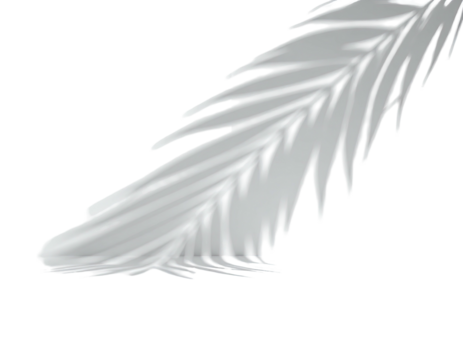 Digital rendering of a white, stylized palm frond against a black backdrop