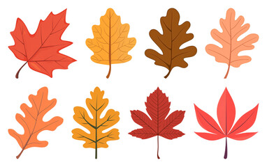 Obraz premium PNG Colorful autumn leaves illustration, element set on transparent background