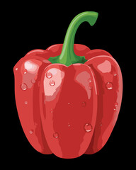 Large, whole red bell pepper glistening with water droplets, showcasing its rich color and perfect, appealing shape - Vector Illustration

