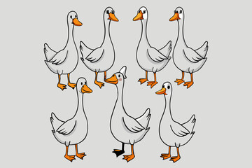 vector