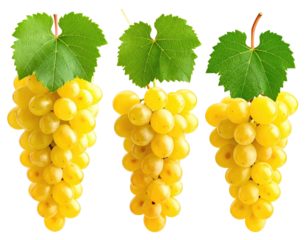 Three bunches of golden grapes with vibrant green leaves against a black background