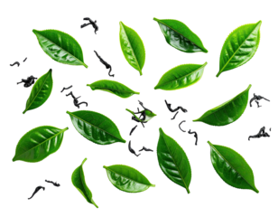 Bright green tea leaves and dark loose tea scattered on a stark black background