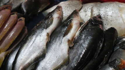 Some types of fresh fish in the traditional Indonesian market traders' stalls