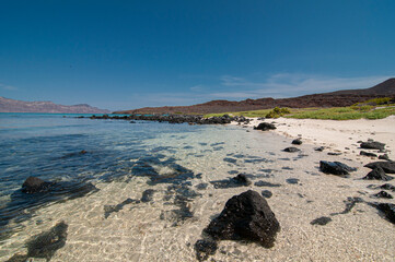 Loreto Baja California Sur. MEXICO, mar de cortes o golfo de california, aguas cristalinas en una playa de la isla coronado