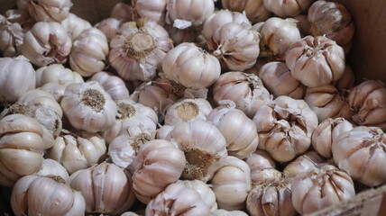 One Cardboard white Garlic in the Indonesian Traditional Market Traders Stalls
