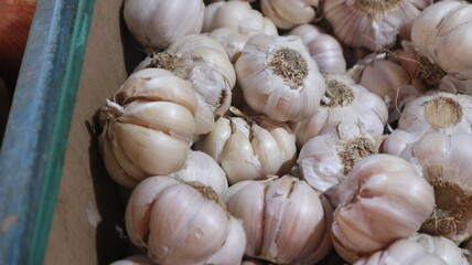 One Cardboard white Garlic in the Indonesian Traditional Market Traders Stalls
