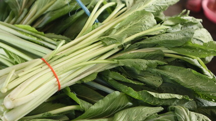 fresh mustard greens tied to the stalls of Indonesian traditional market sellers