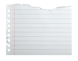 Torn paper with ruled lines against black. Side has hole punches. Blank