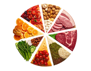 Colorful pie chart segments showing different healthy food groups for balanced nutrition