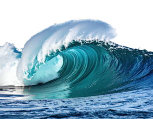 A large ocean wave curls over, showing its foamy white crest and turquoise interior