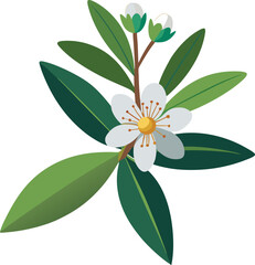 An illustration of a white flower surrounded by vibrant green leaves.