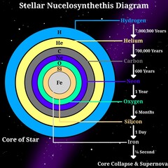 Stellar Nucelosynthethis Diagram Illustration – Scientific Infographic