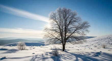 Breathtaking winter wonderland featuring a majestic frosted tree against a brilliant blue sky and snowy hills, perfect for holiday promotions or scenic designs